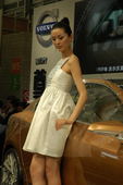 2009上海车展沃尔沃车模