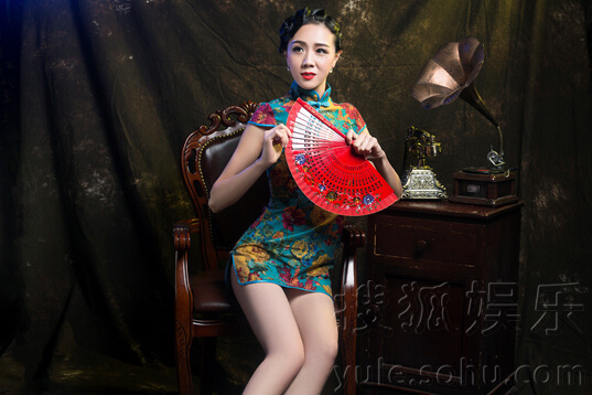 华语女歌手_华语女歌手收入(2)