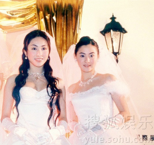 引用张柏芝网易博客图_张柏芝的博客