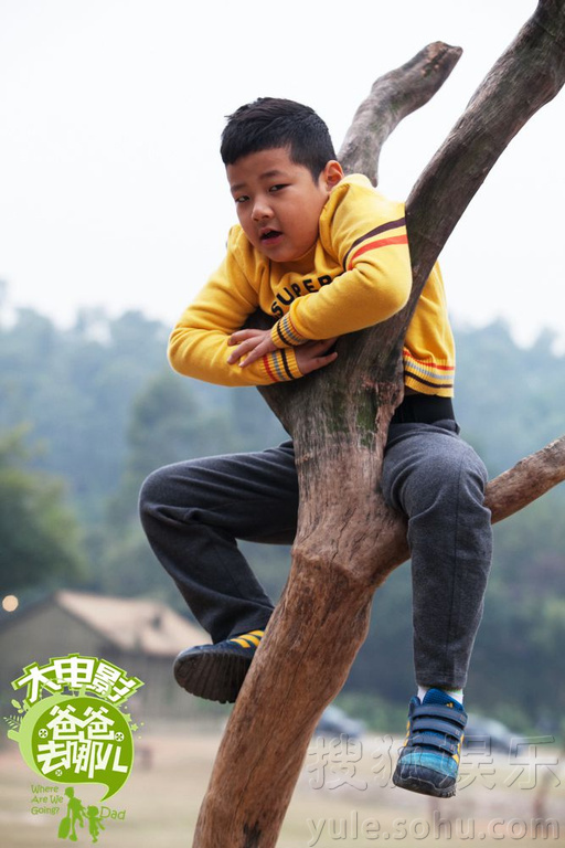 金陵十三钗票房总收入_爸爸去哪儿票房收入