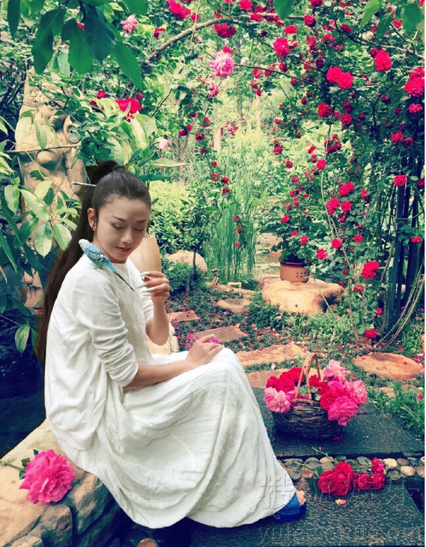 杨丽萍照片图片大全