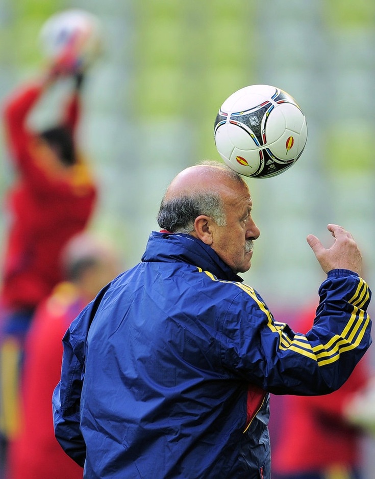 Huấn luyện viên EURO 2012