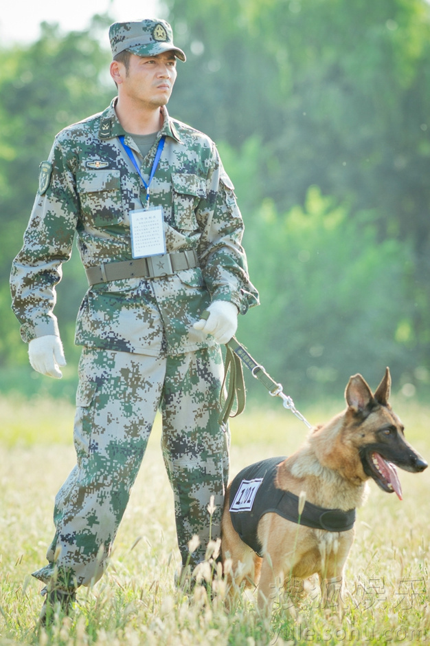 《神犬奇兵》发圣诞版海报 军犬也温柔萌化人心