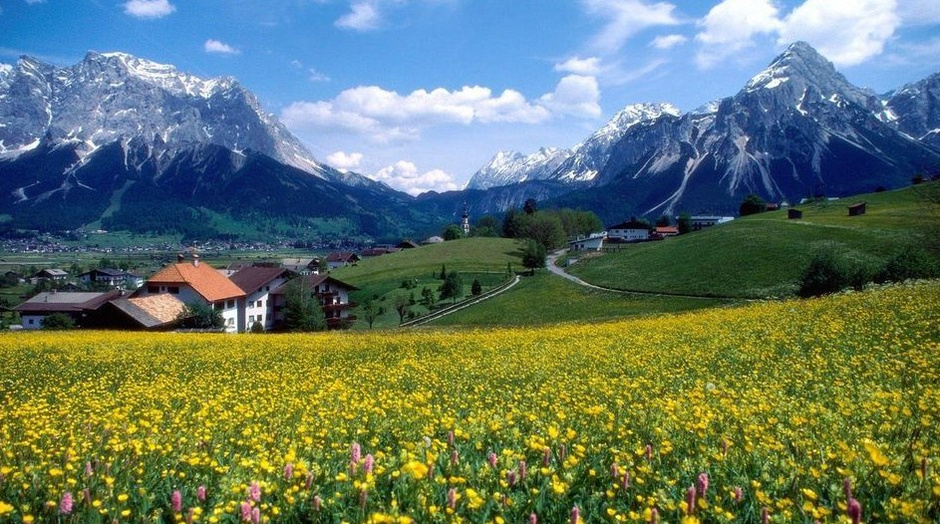 乡村路带我回家便宜价格 带我回家 孙俪质量好