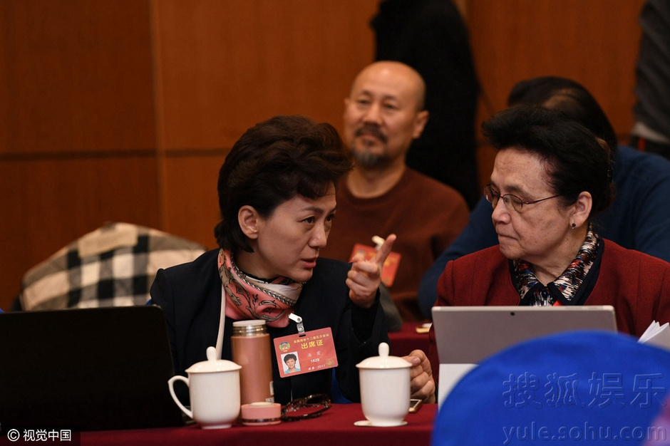 政协小组讨论文体届齐聚 成龙赵本山刘翔等亮