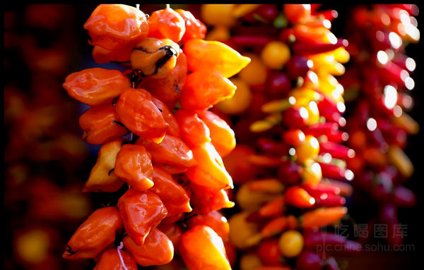 卡罗来纳死神\u201d最辣辣椒现身(图)6005521-吃喝