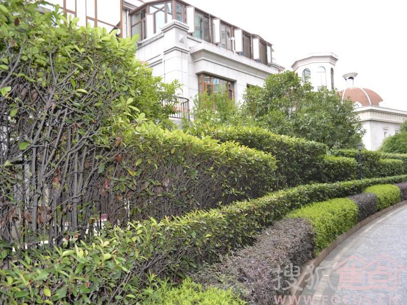 恒茂国际都会·南昌寻根之旅媒体行起航