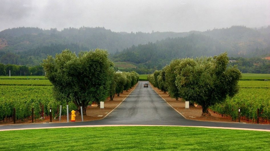 乡村路带我回家便宜价格 带我回家 孙俪质量好