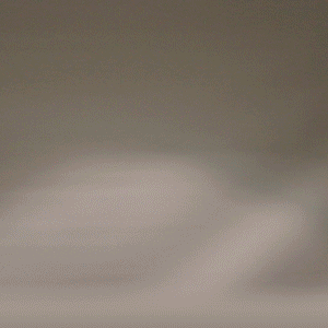 爆笑球员抱臂:蓬蓬头搞怪 萌大叔逗你玩(gif)