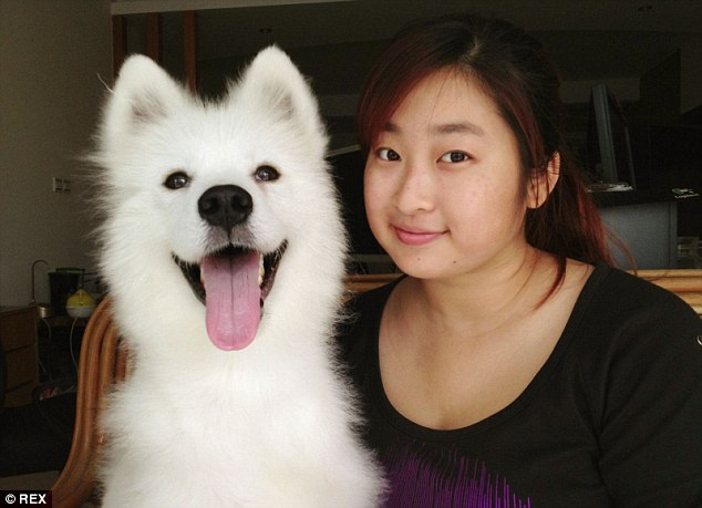 流浪狗被<em>女孩救助</em>前后对比图7471745-新闻图