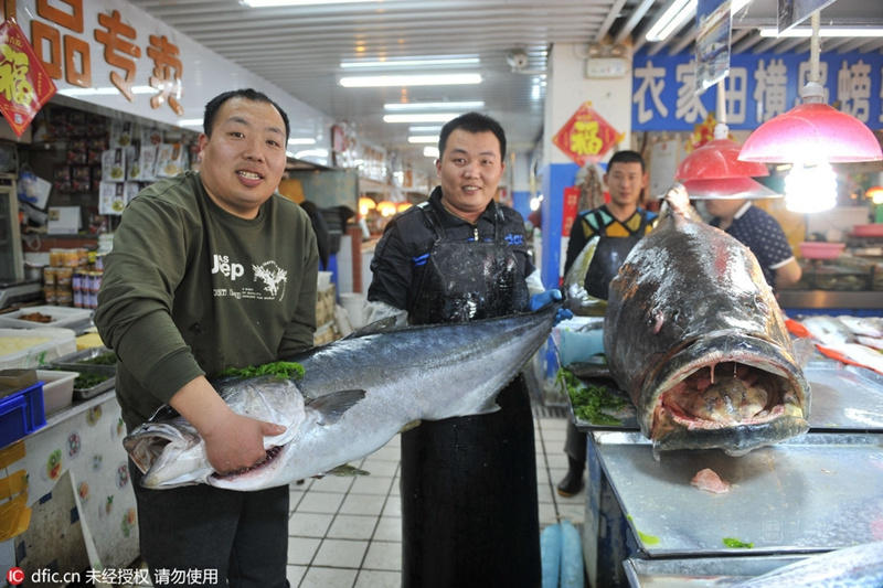  青岛 海鲜市场 现巨型石斑鱼  重达305斤