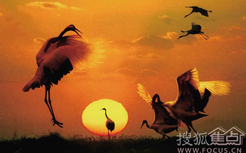 江苏13市城市印象走红 你对无锡啥印象?703