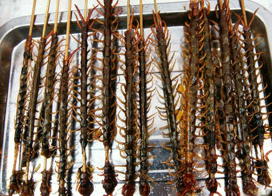 不只是老鼠肉!实拍什么东西都敢吃的中国人