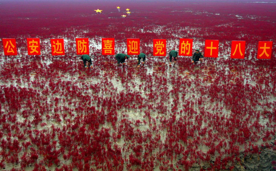 盘锦2020年gdp多少_盘锦有多少个镇(3)