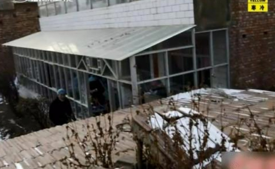 青海灭门案:家庭琐事盘点全球惨绝人寰杀人案