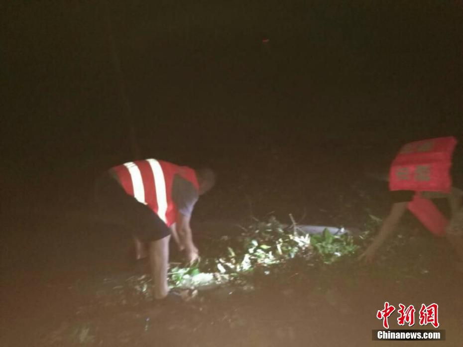 凌晨暴雨突袭 四川绵阳市近千株树木被刮倒90