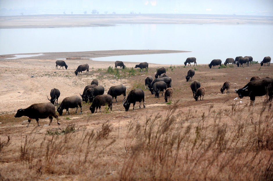 [智凯时讯一束] 浙江<em>亿万富姐</em>终审维持死刑/中国