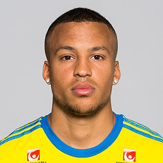 瑞典大名单:伊布担当挑全队 众妖星盼创造奇迹