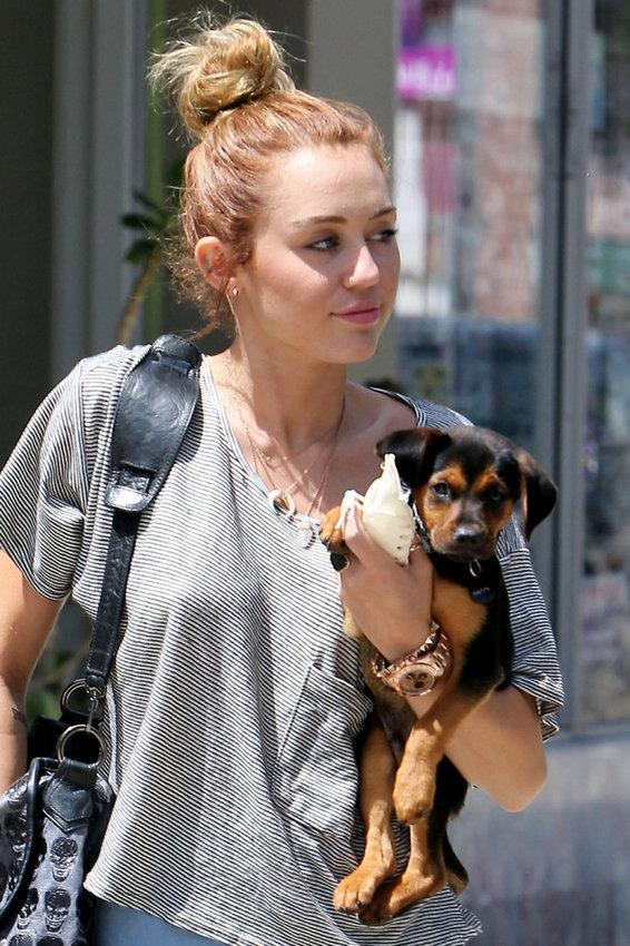 围观众女星<em>不穿胸罩</em>庆祝无胸罩日5221273-女