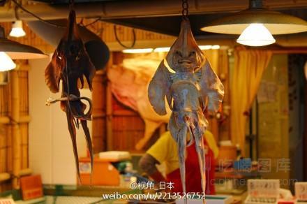鳐鱼晒干变身外星人入侵 惊呆小伙伴