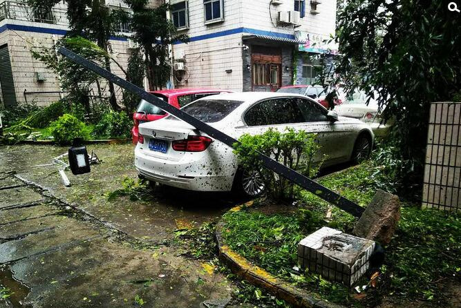 强台风天鸽登陆华南9124481-新闻图片库