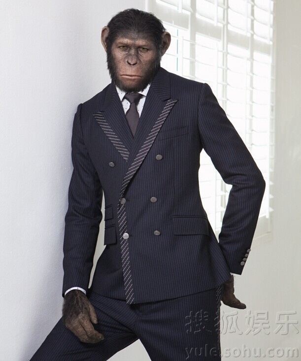 猩球凯撒穿西装帅气过人 被求生猴子711558
