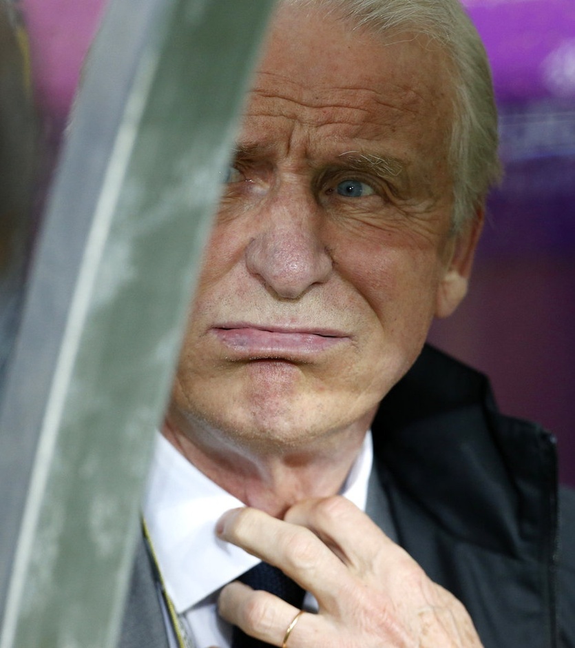 Huấn luyện viên EURO 2012