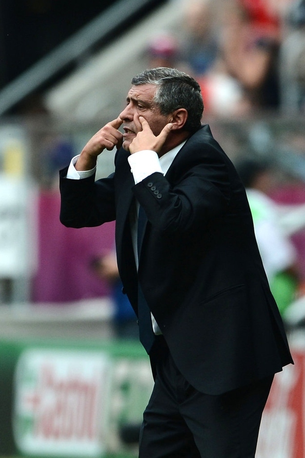 Huấn luyện viên EURO 2012