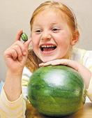 小西瓜产于南美洲，学名“佩普基诺”，是一种营养价值很高的高档水果，外表与普通西瓜无异，3厘米长、直径...