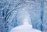 奇迹之冬 17张最美的冬季照片