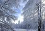 零下40℃的大兴安岭林海雪原美景