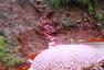 河南一河水遭污染呈血红色 工人用次硫酸稀释