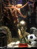 2010年7月12日，德国奥伯豪森，世界杯上8猜全中的章鱼――保罗捧得“山寨”大力神杯。