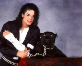迈克尔杰克逊是这个星球上绝无仅有的天才和巨星。U ARE NOT ALONE，但他却一直是孤独的。这...