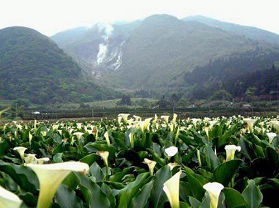 阳明山国家公园