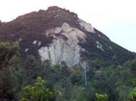 抱虎岭景心角保护区
