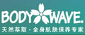 Bodywave ���忼��