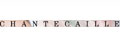 Chantecaille ��羿�